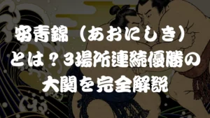 安青錦（あおにしき）とは？3場所連続優勝の大関を完全解説 単なる排除ではなく、ルールを守る外国人と共生するための緻密な制度設計が効果を発揮し、結果として6万8,488人という具体的な減少数値に表れています。しかし、この政策がもたらす真の影響や今後の課題については、まだ多くの人が気づいていません。 この数値が意味する「現在地」とこれからの日本社会について、さらに詳しいデータや分析をまとめました。ぜひ以下の記事で全体像を確認してみてください。