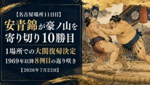 安青錦 大関復帰 名古屋場所11日目