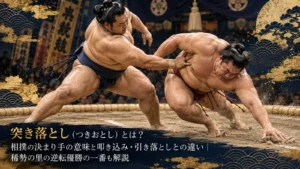 突き落とし（つきおとし）とは？相撲の決まり手の意味と叩き込み・引き落としとの違い｜稀勢の里の逆転優勝の一番も解説